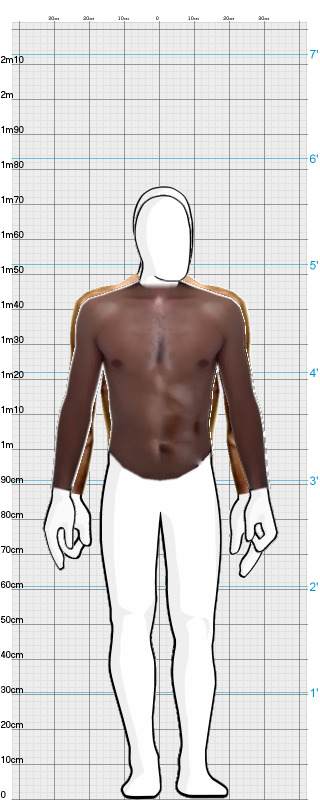 Full Size Comparison