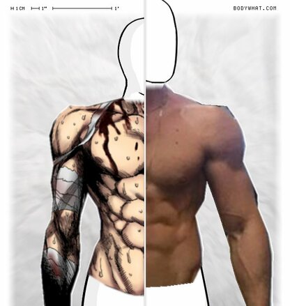 Torso Comparison