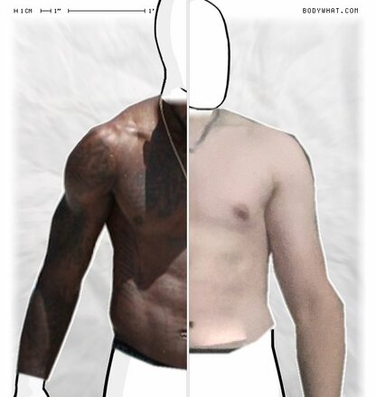 Torso Comparison