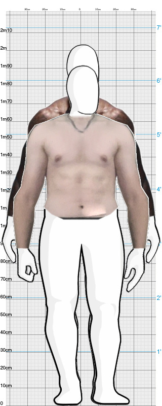 Full Size Comparison