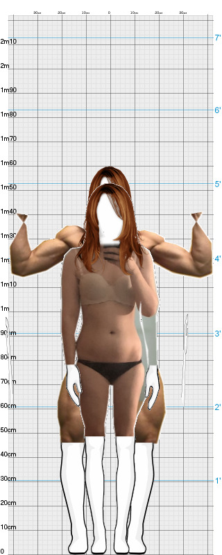 Full Size Comparison