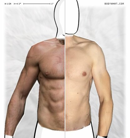 Torso Comparison