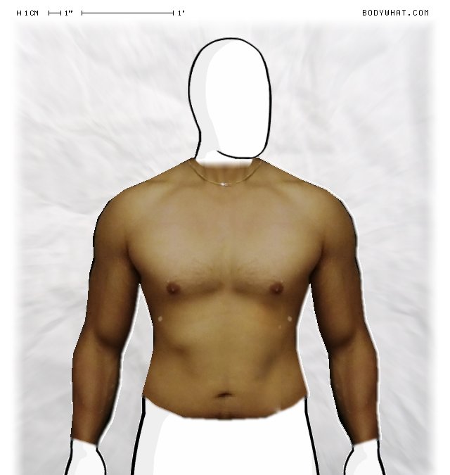 Picture 1