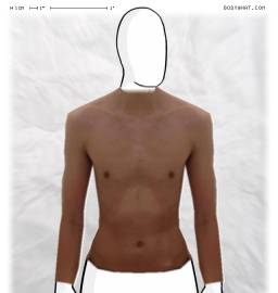Torso