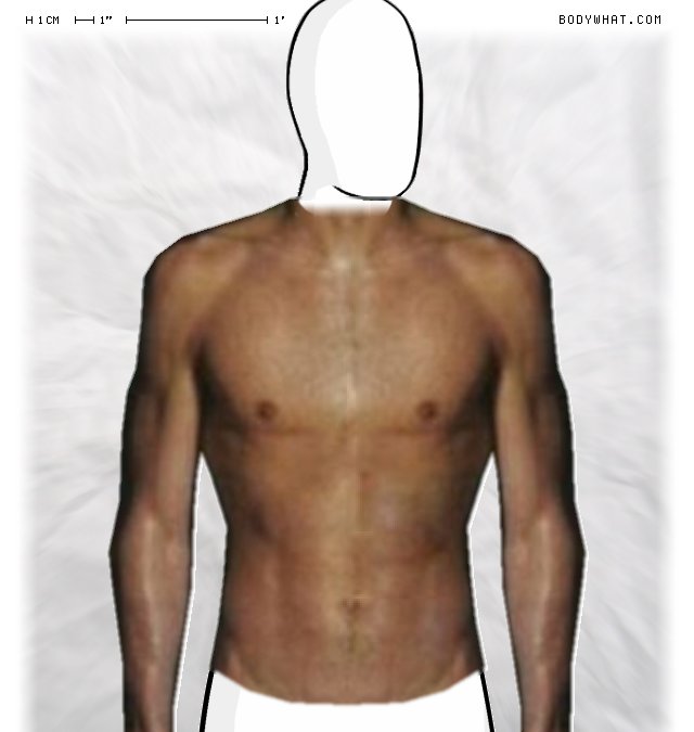 Usain Bolt Height In Cm | emsekflol.com