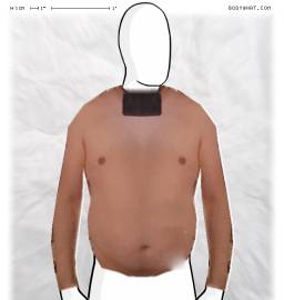 Torso