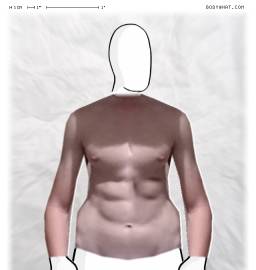 Torso