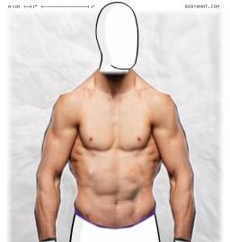 Torso