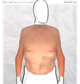 Torso