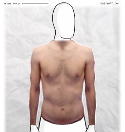 Torso
