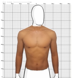 Torso