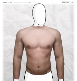 Torso