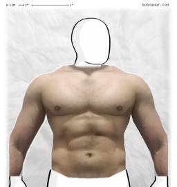 Torso