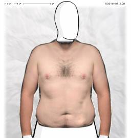 Torso
