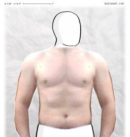 Torso