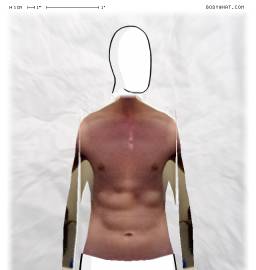Torso