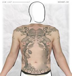 Torso