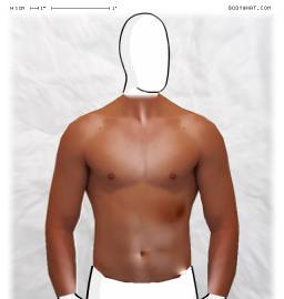 Torso