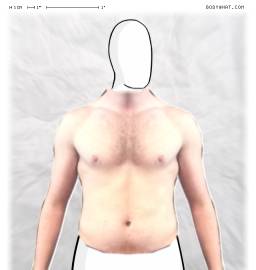 Torso