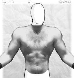Torso