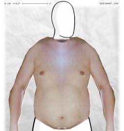Torso