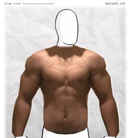 Torso