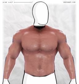 Torso