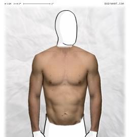 Torso