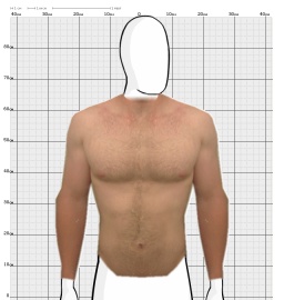 Torso
