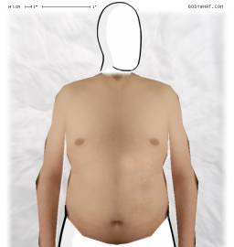Torso