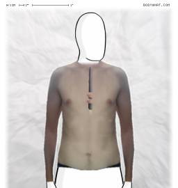 Torso
