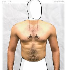 Torso