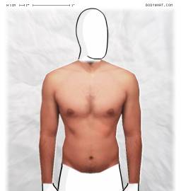Torso