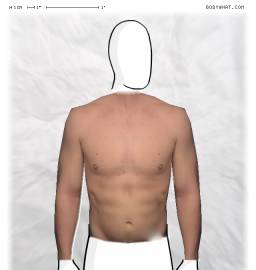 Torso