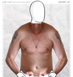 Torso