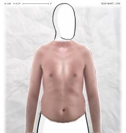 Torso