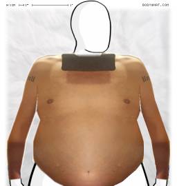 Torso