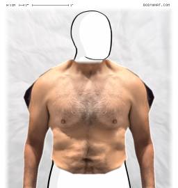 Torso