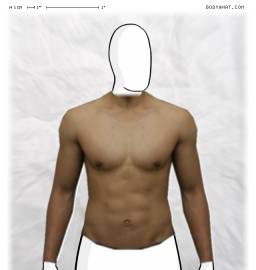 Torso