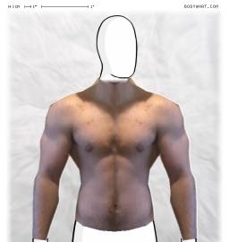 Torso