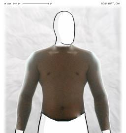 Torso
