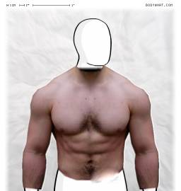 Torso