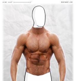 Torso