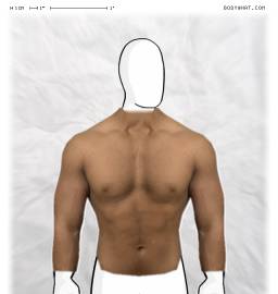 Torso