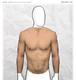 Torso