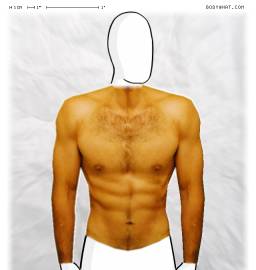 Torso