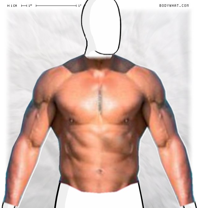 Picture 1