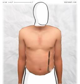 Torso