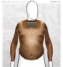 Torso