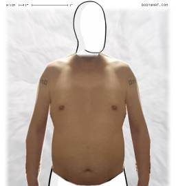 Torso